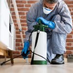 Safe Pest Control: A Key Component of Green Living