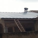 Peak Performance: Center Moriches Roofing Professionals
