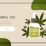 The Ultimate Guide to CBD Shopping in Austin