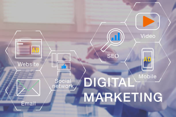 Developers Providing Comprehensive SEO Services