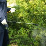 Effective rodent control in commercial properties