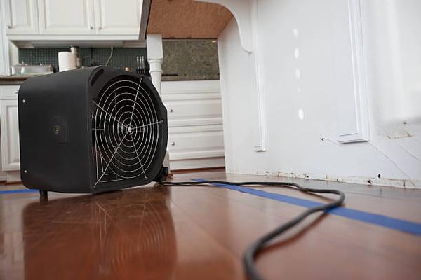 Complete Guide to Water Extraction and Restoration in DC Homes