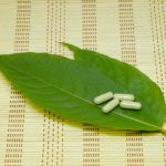 Premium Kratom Brands Discover the Best Options for Every Need