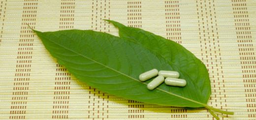 Premium Kratom Brands Discover the Best Options for Every Need