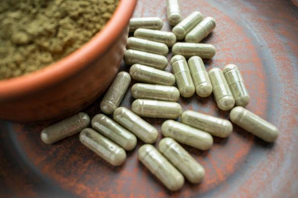 From Southeast Asia to the World The Rise of Kratom in Modern Health Practices