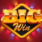 How to Dominate the Top Player Poker Money Award Competition